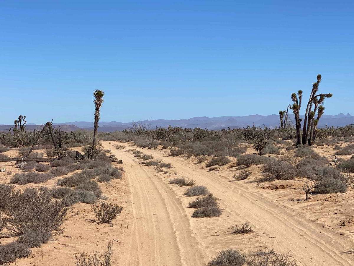 Four Corners West photo 5
