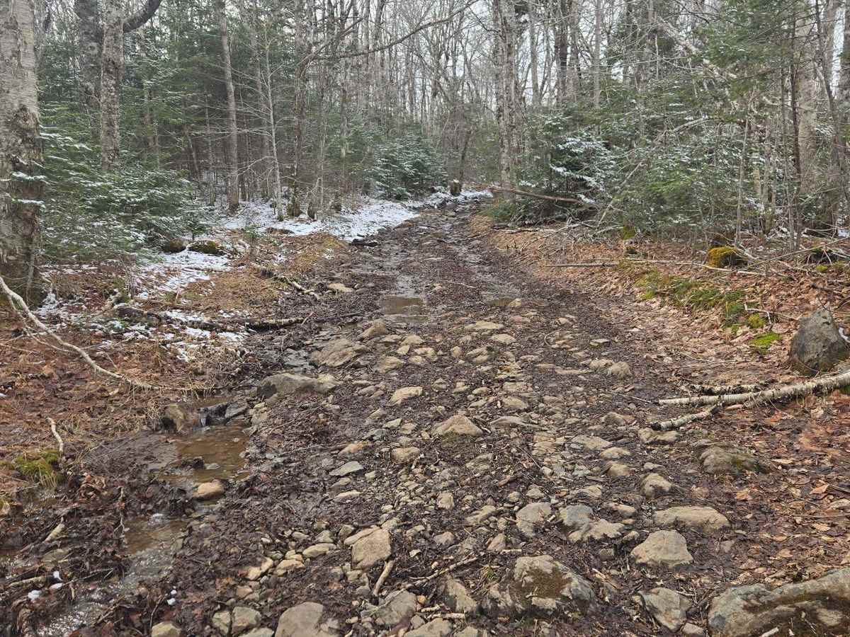 Grist Mill Road - 104 photo 3