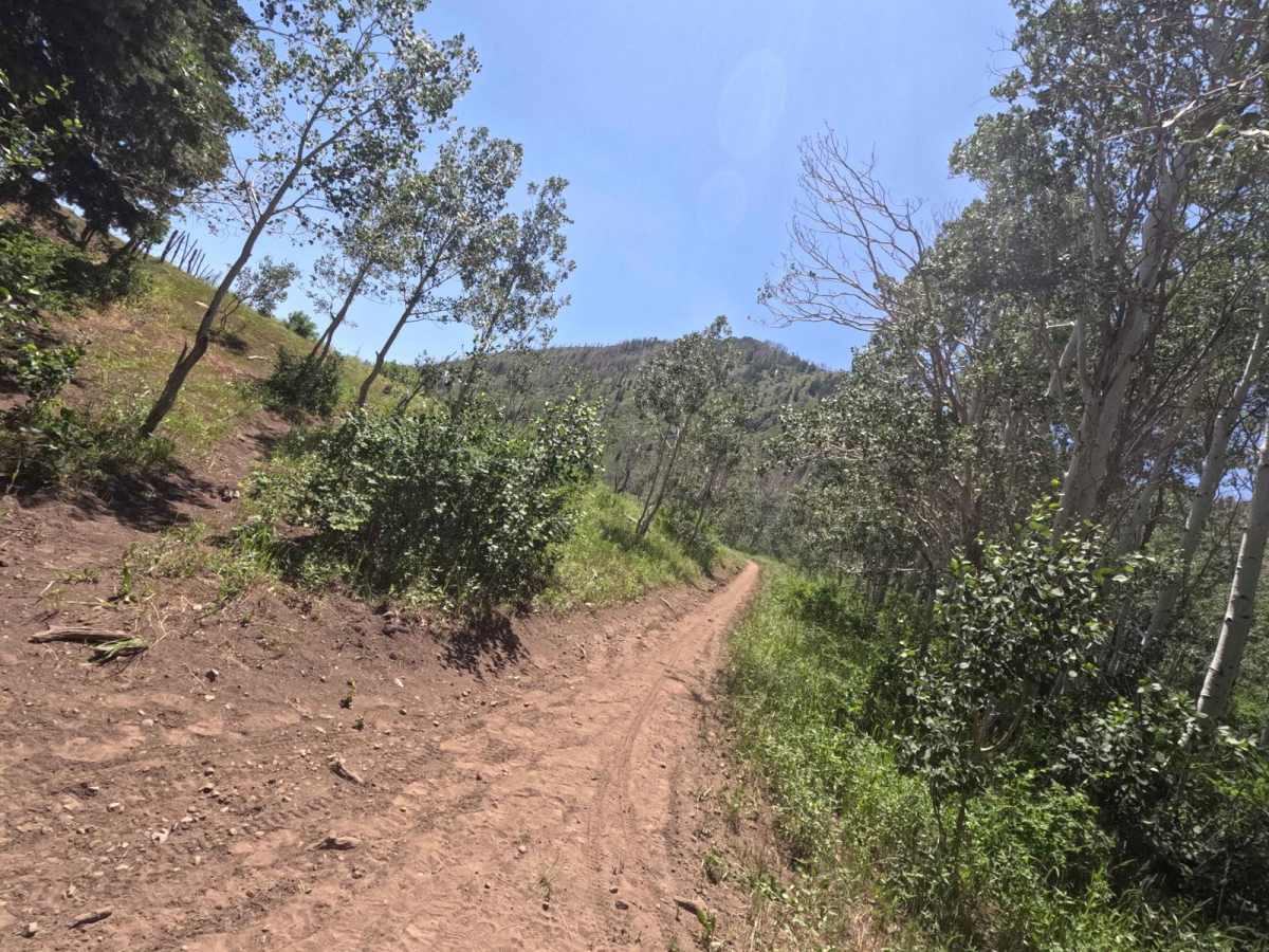 Sheepherder Hill - FS 8099 photo 6