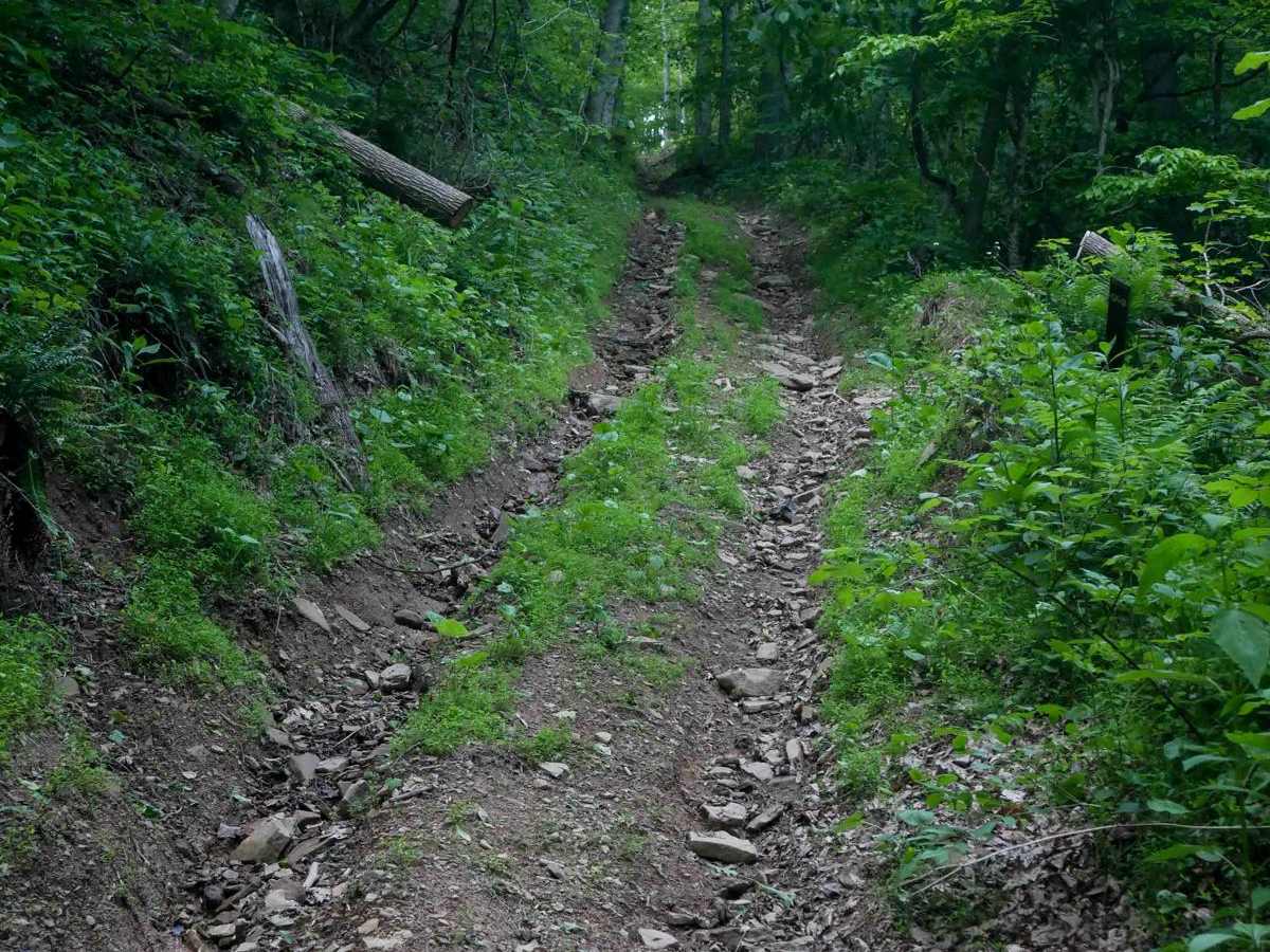 MV94 trail photo