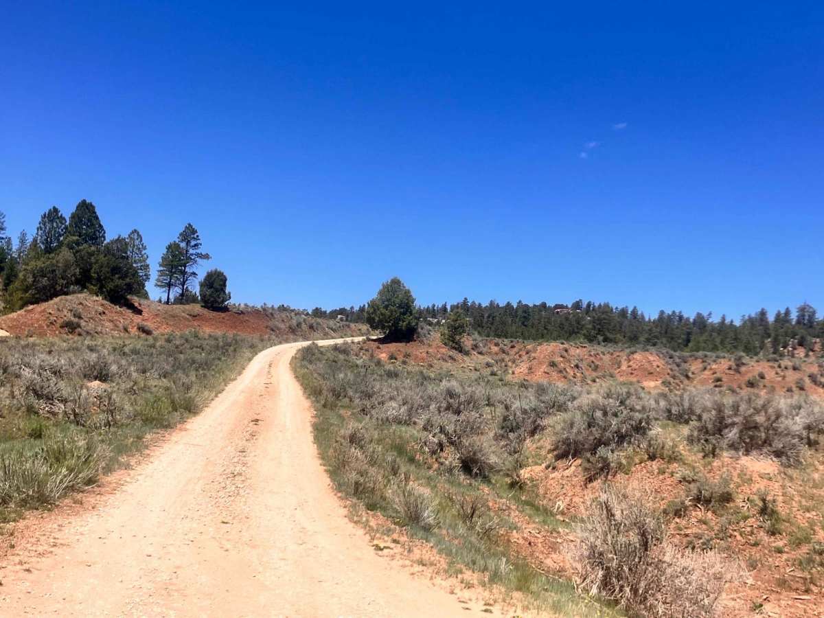 Wolf Draw Trail photo 5
