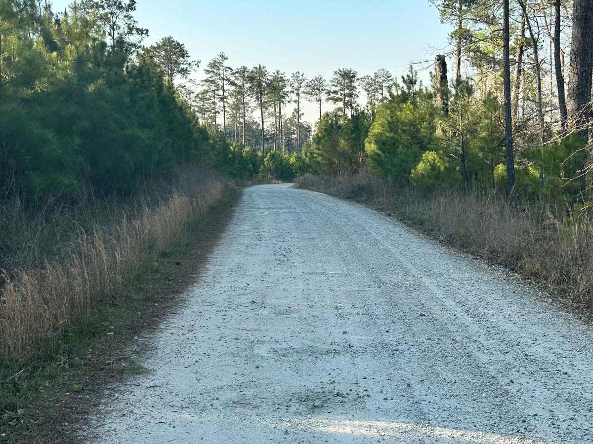 Little North Carolina Road photo 3