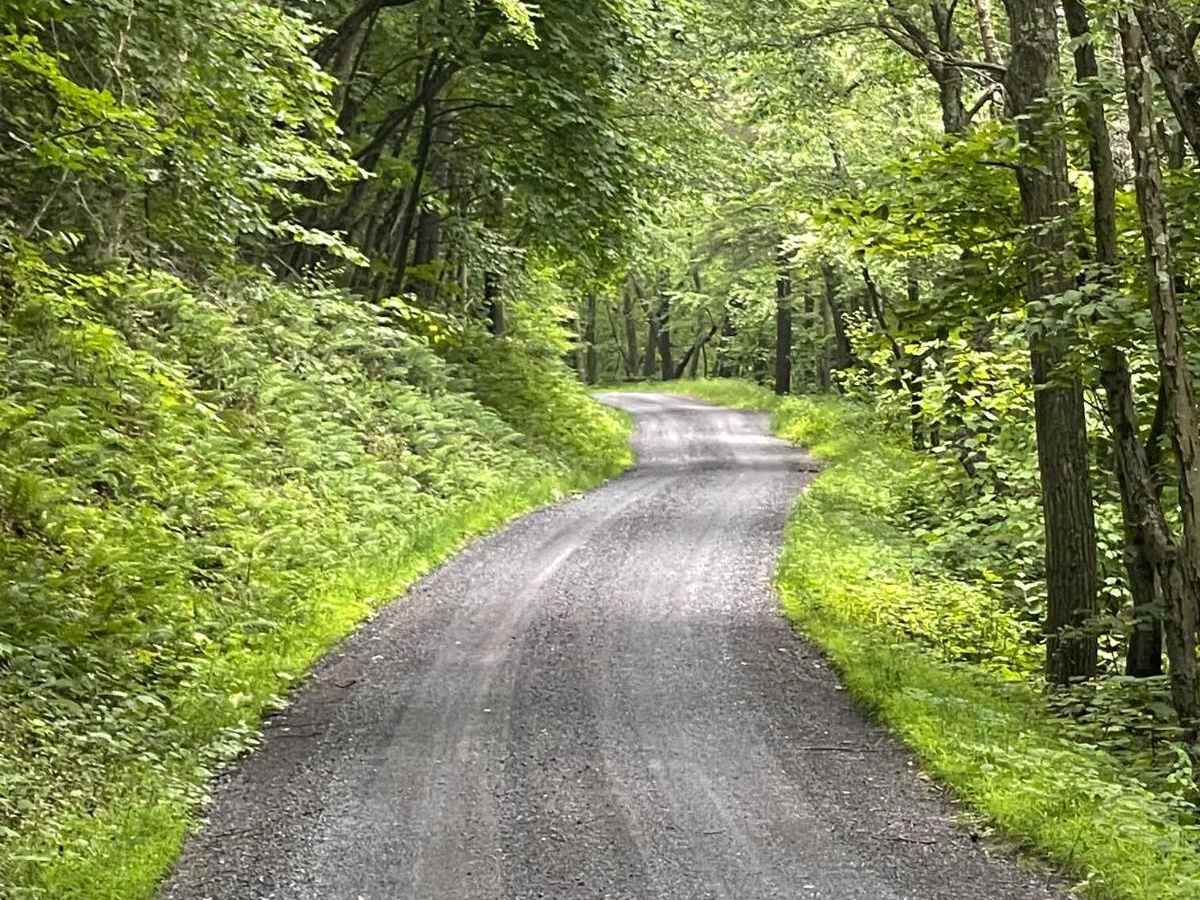 Kalbfleish Road photo 3