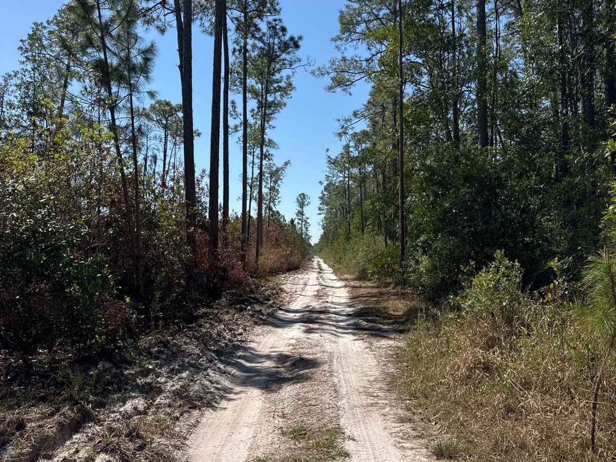East River Road - ONF 74 photo 3