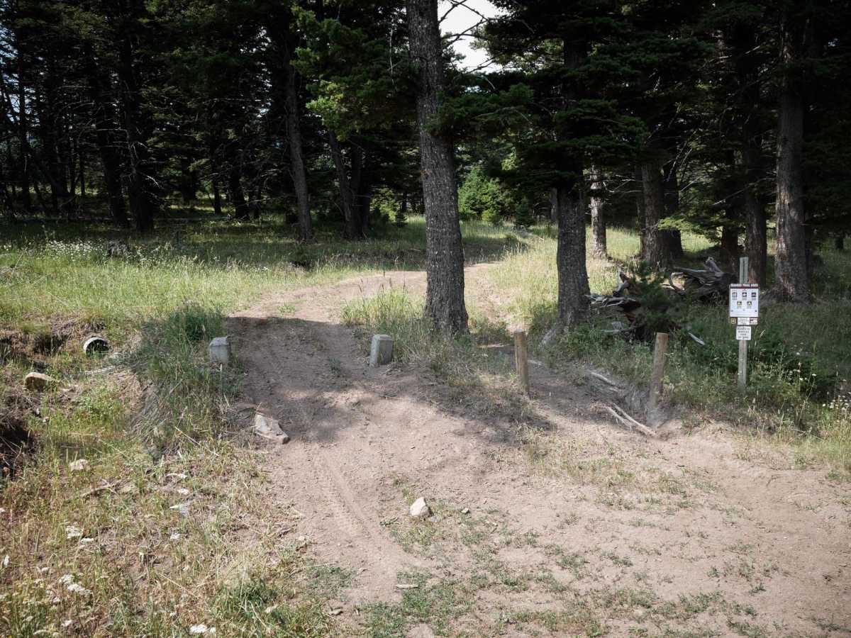 South Fork Flathead Creek photo 5