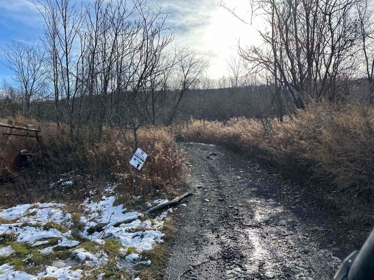 Locust Gap 3 photo 3