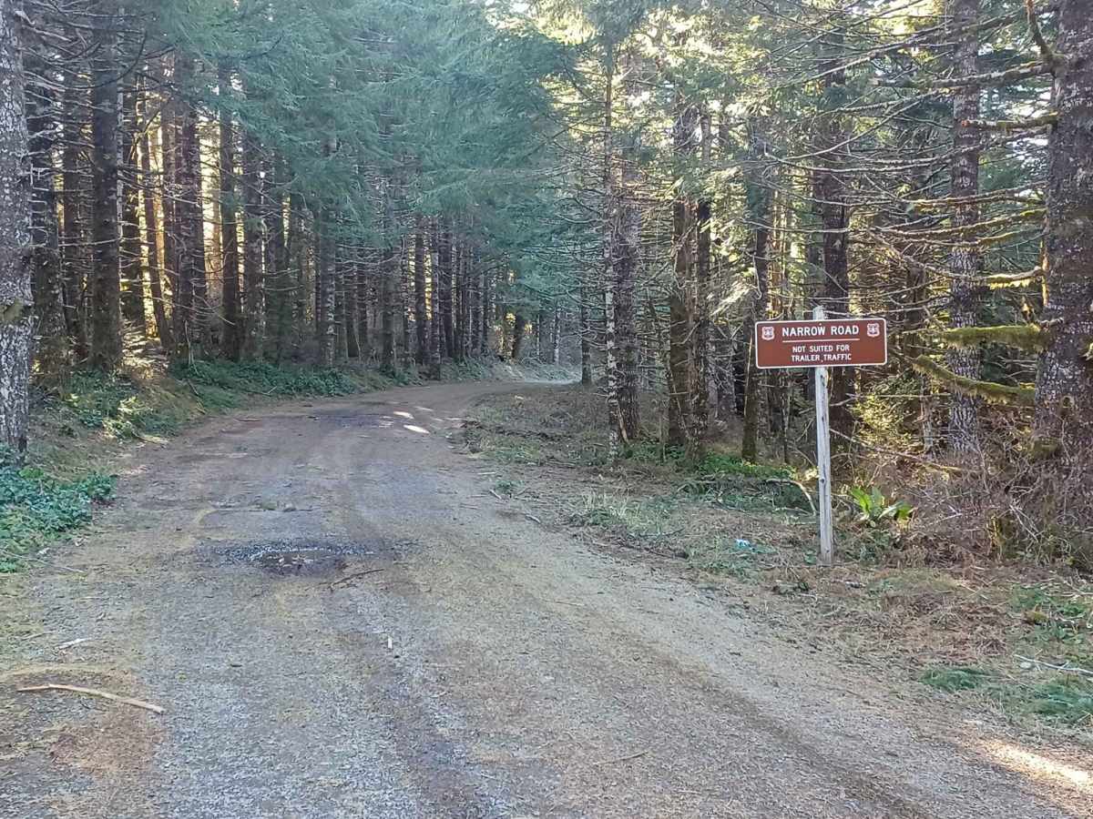 Mount Hebo photo 5