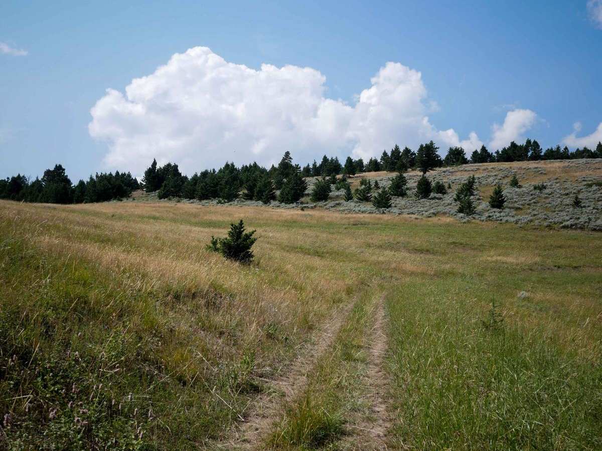 Willow Creek South ATV photo 5