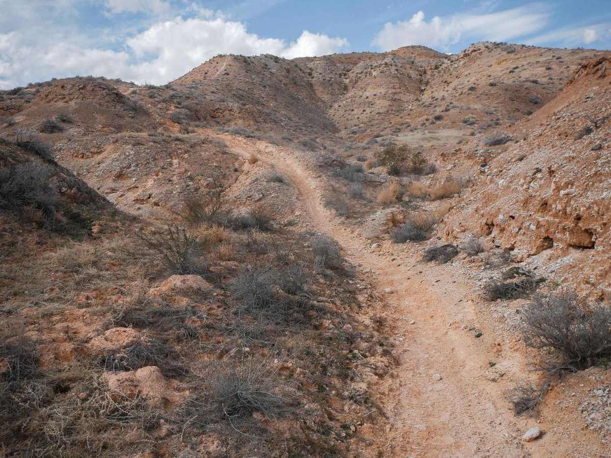 Dutchman to Powerline Single Track photo 3