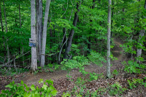 Trail 14