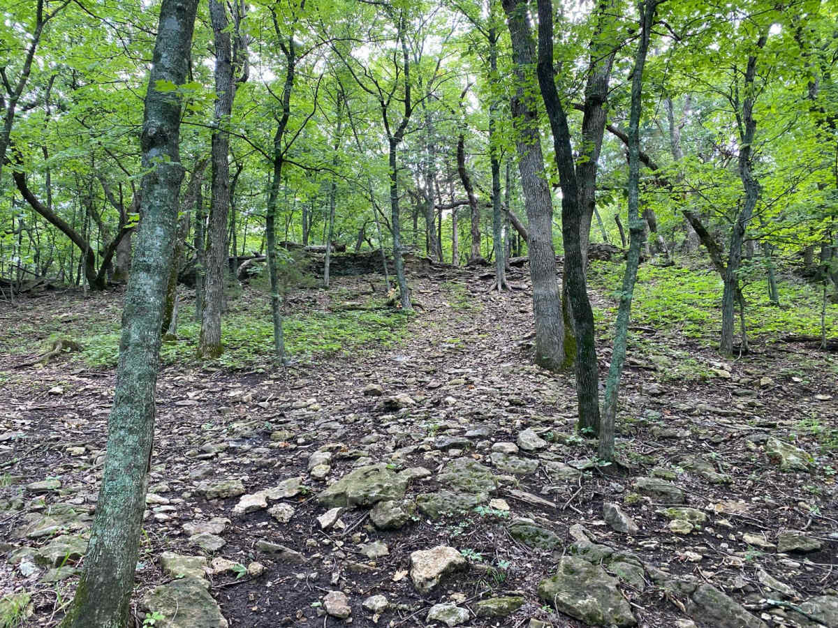 Z Hill photo 5