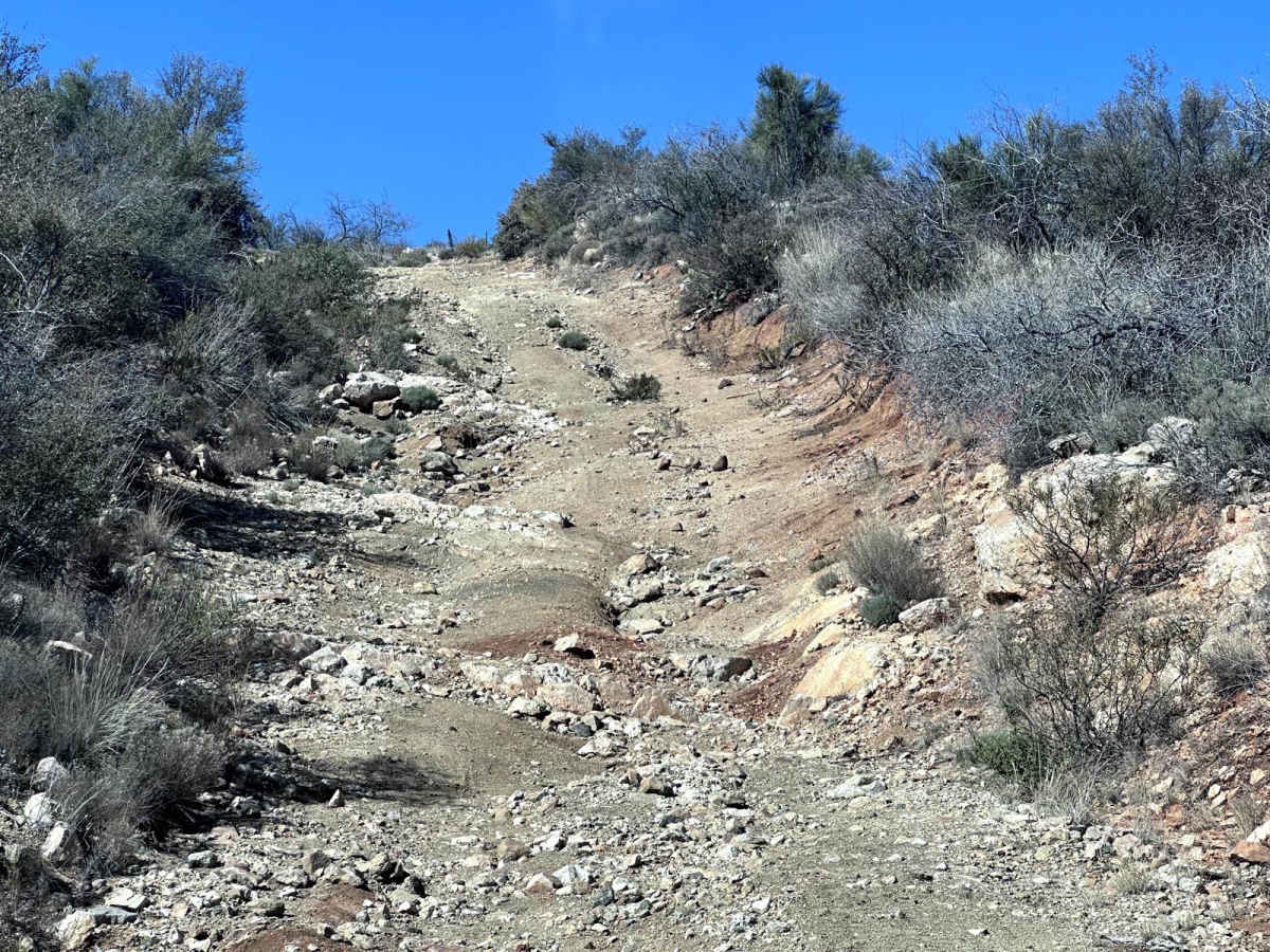 Leviathan Mine Trail photo 5