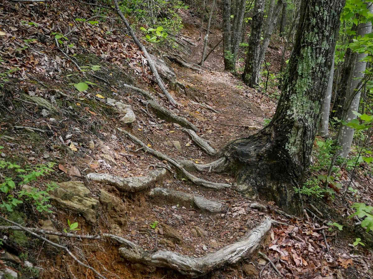 5B trail photo