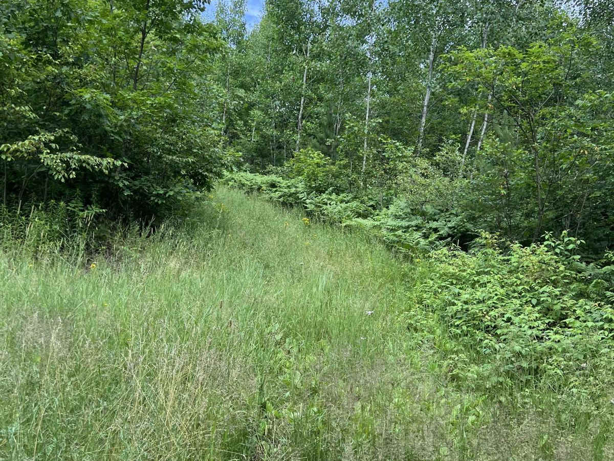 Pots Lake Trail photo 5
