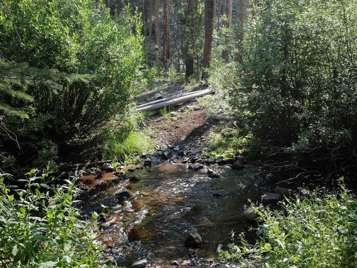 Eleven Mile - Martin Creek photo 4