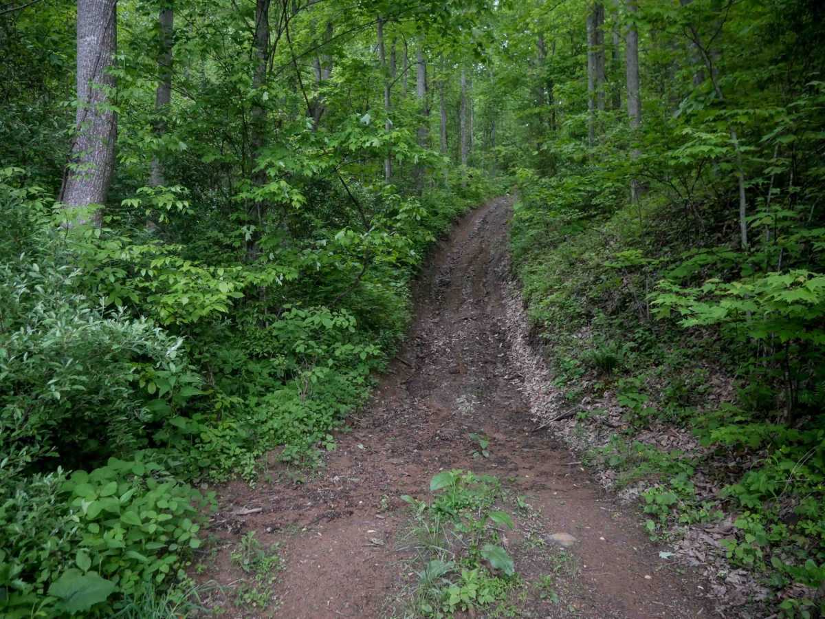 J79 trail photo