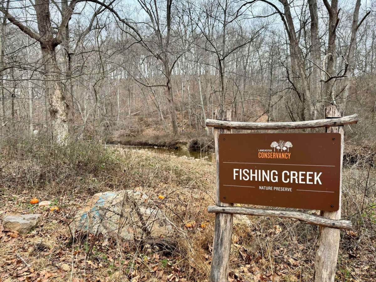 Fishing Creek to Hawk Point photo 3