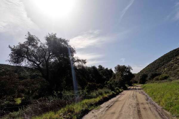Otay Mountain Truck Trail (Upper Trail)