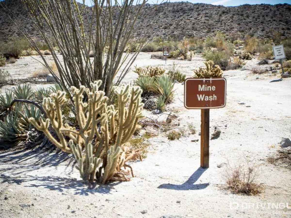 Mine Wash photo 4