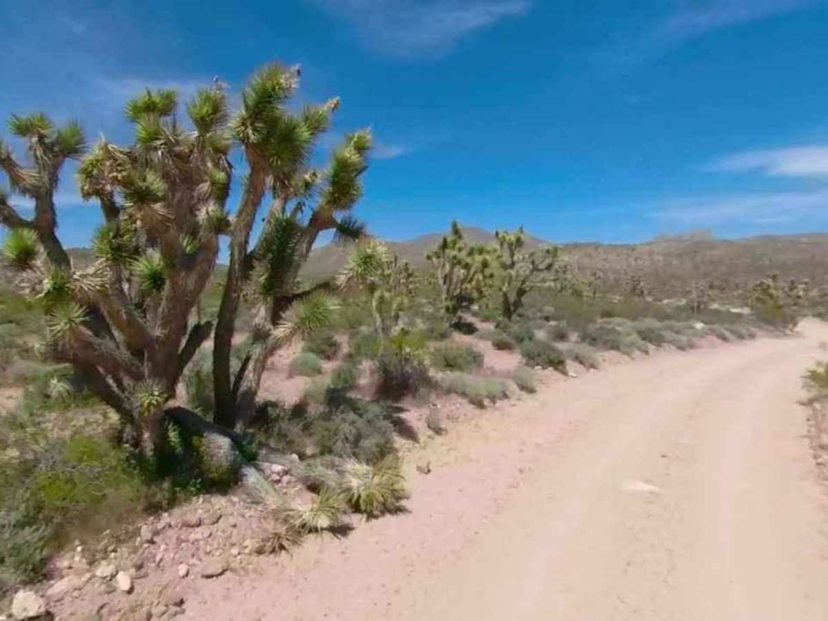 Water Trough Road-BLM30084 photo 3