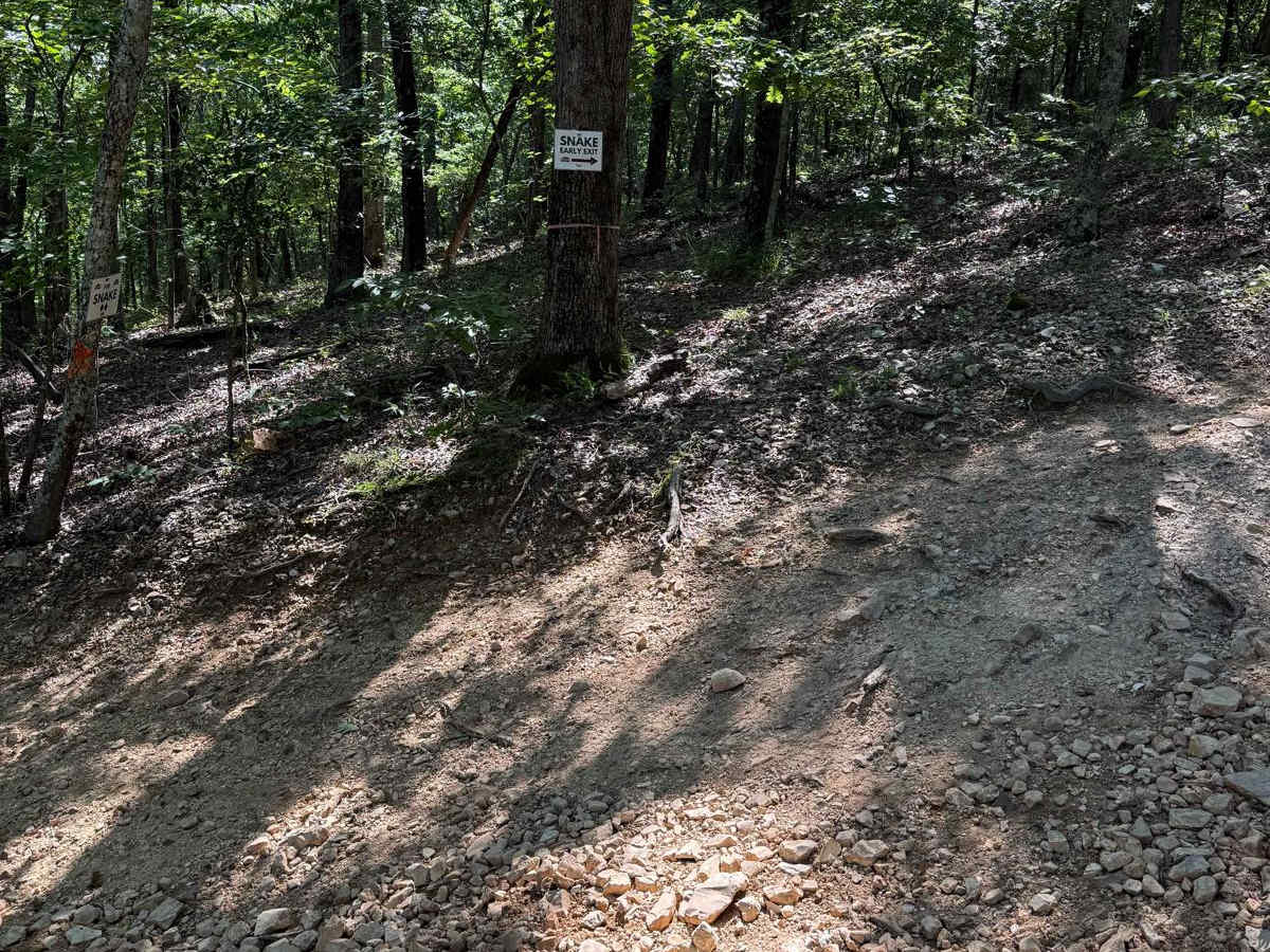 F6 Snake Early Exit photo 2