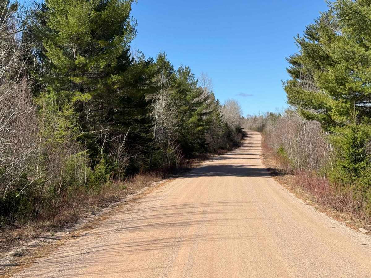 Fire Road photo 6