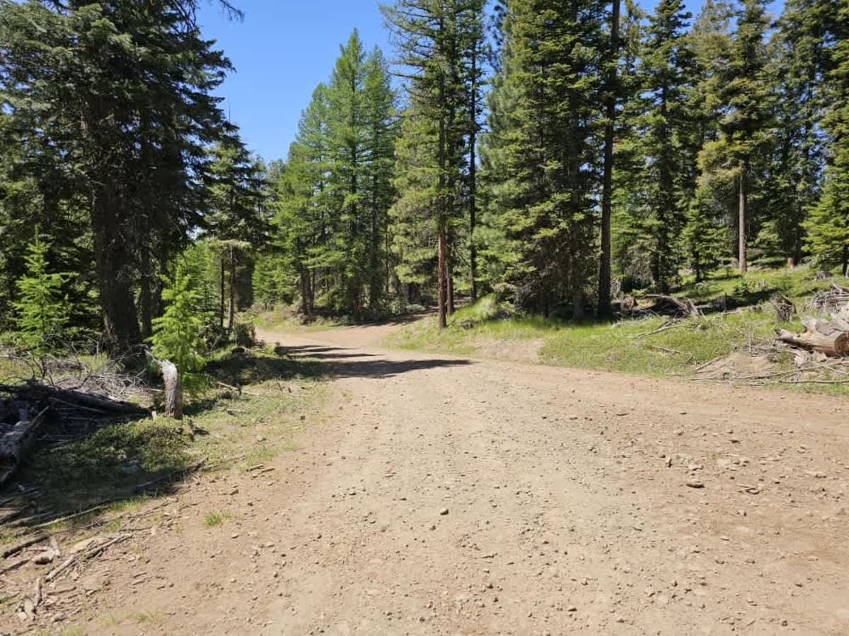 East Fork Road photo 2
