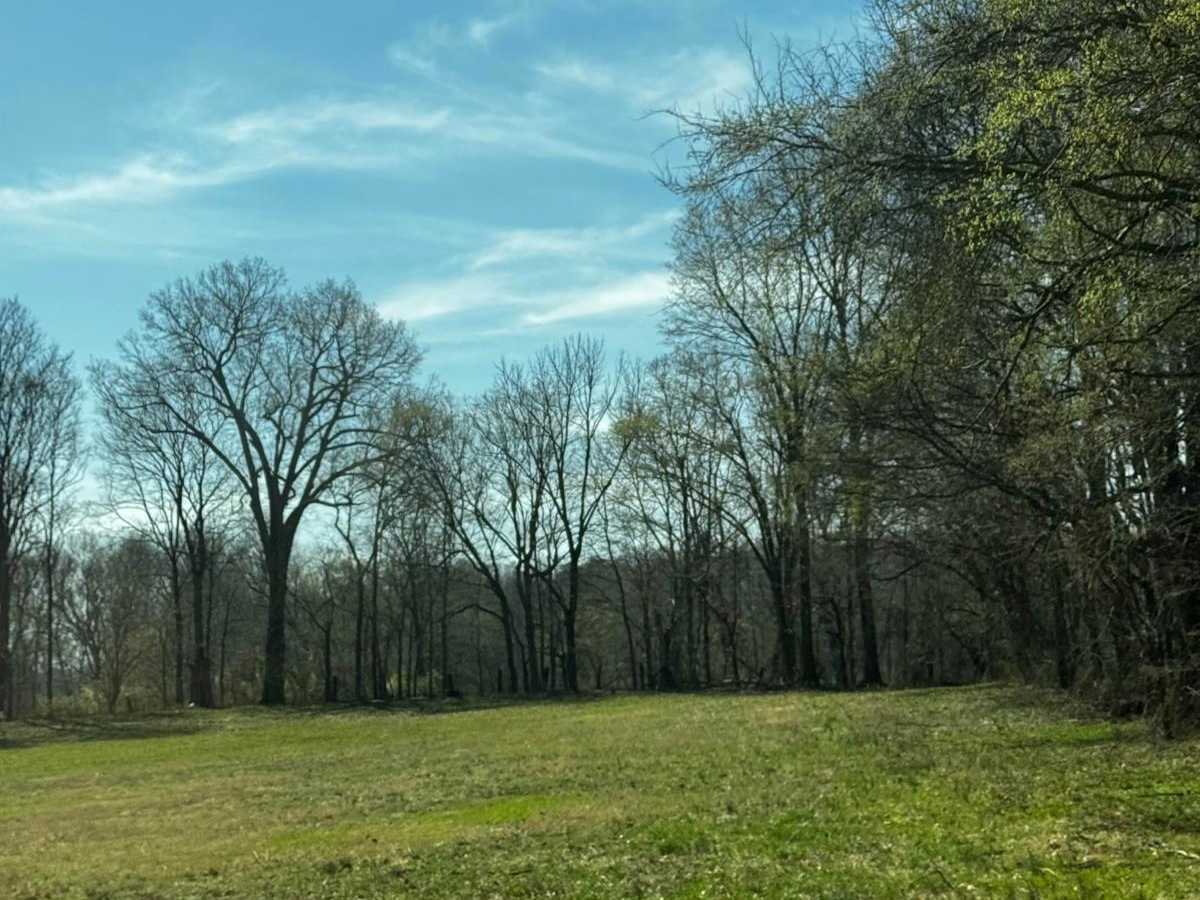Camp Loop 5 photo 2