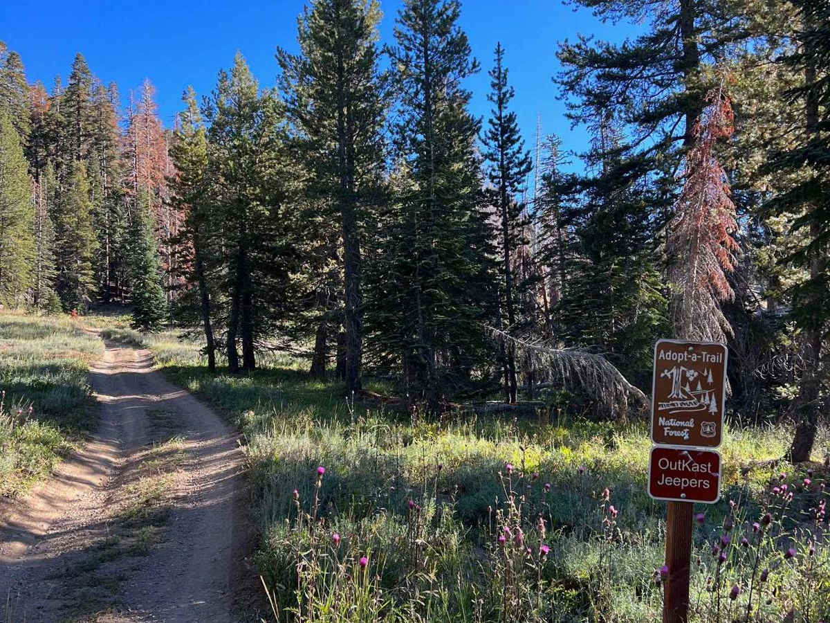 Eagle Peak 4x4 Trail trail photo