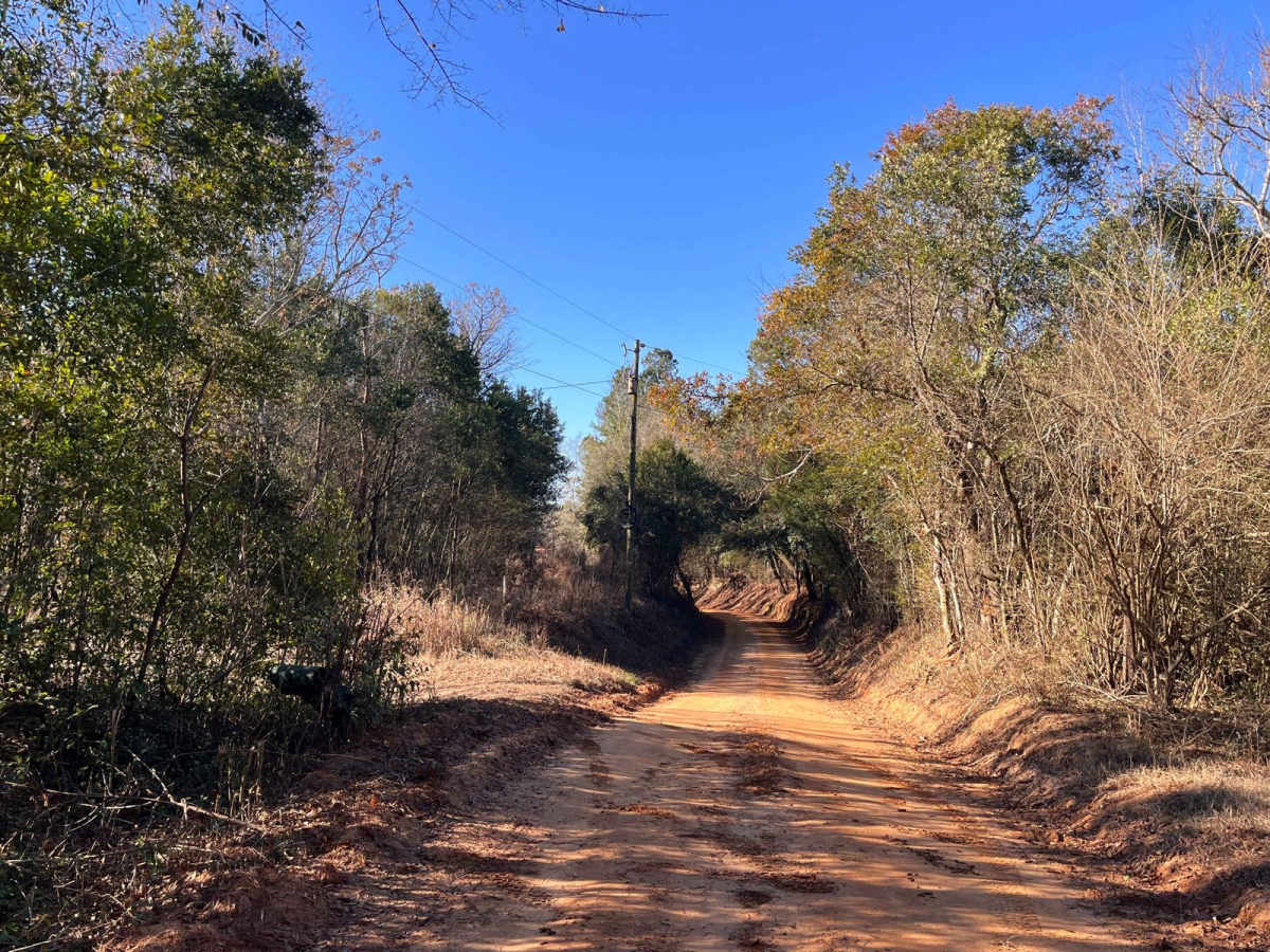 Red Shadow Road photo 4