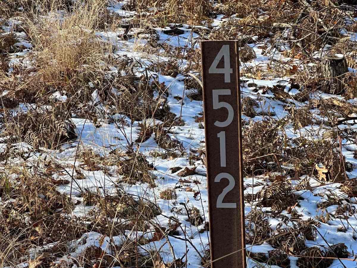 FS 4512 trail photo