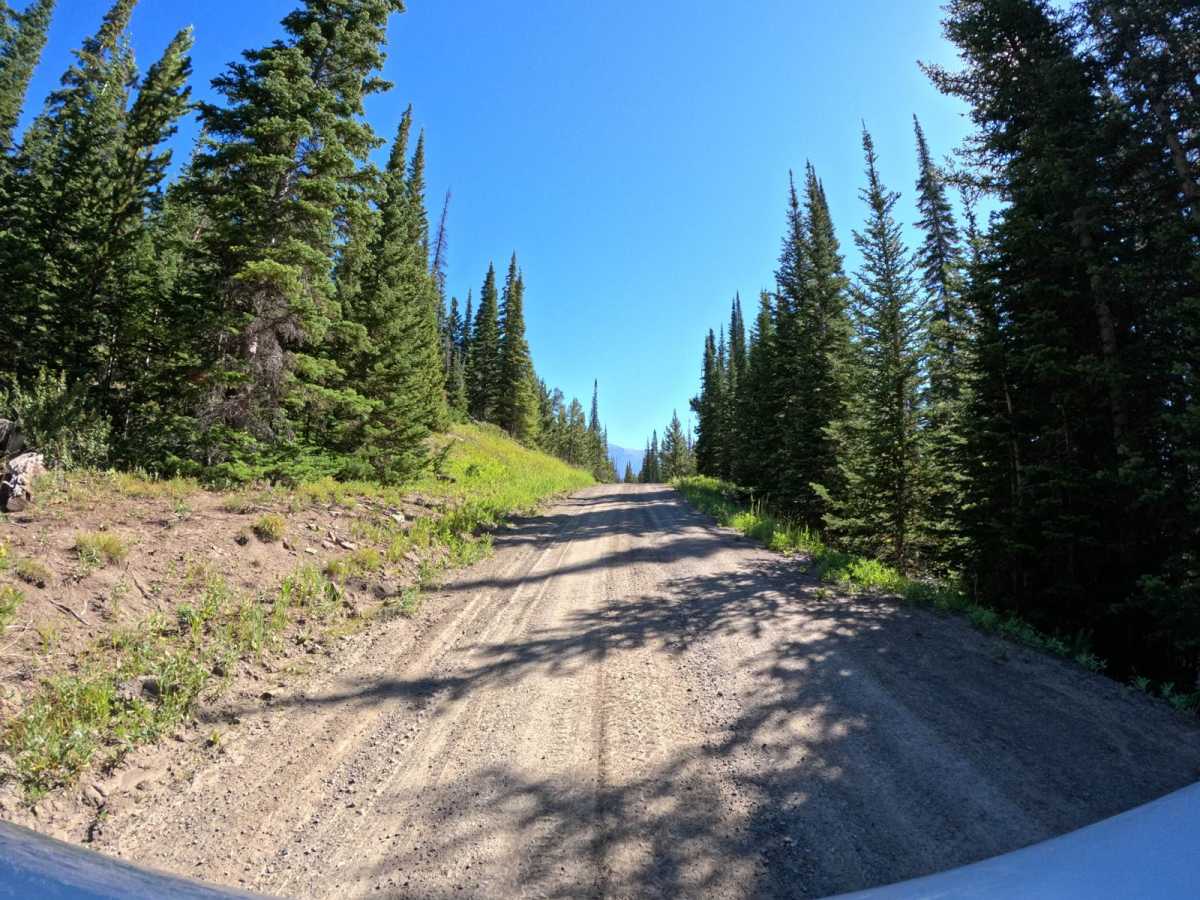 Long Creek Trail photo 3