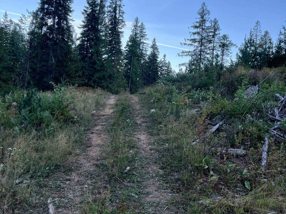 Moose Creek Spur photo 3