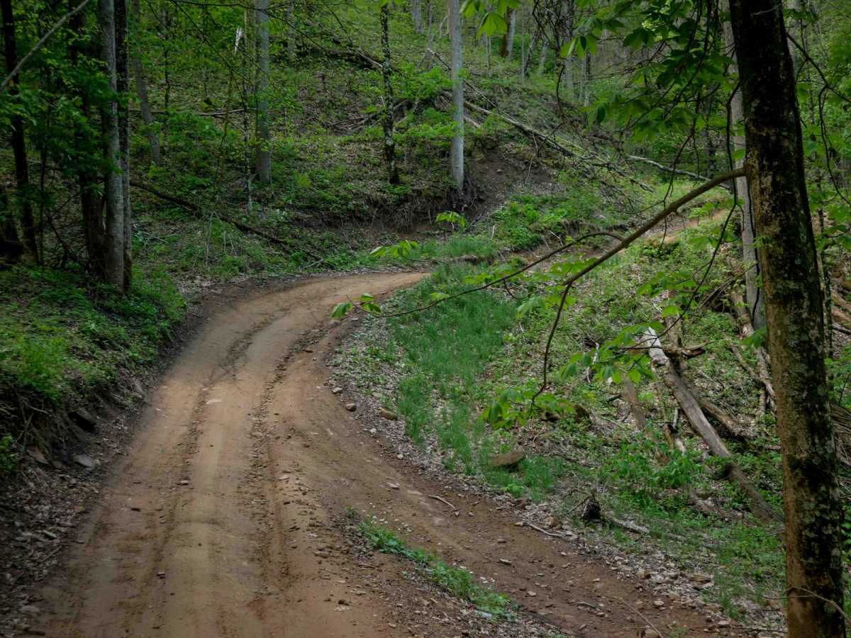 IR 28 trail photo