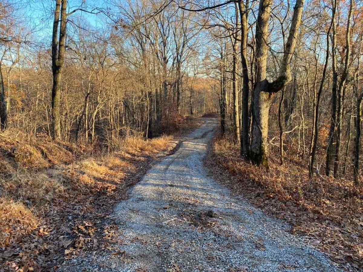Silica Hill Road SFR 645 photo 5