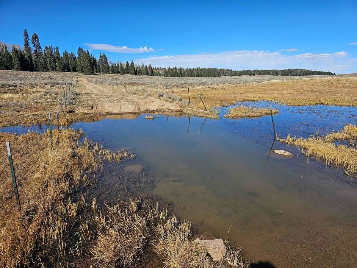 Velvet Lake Road trail photo