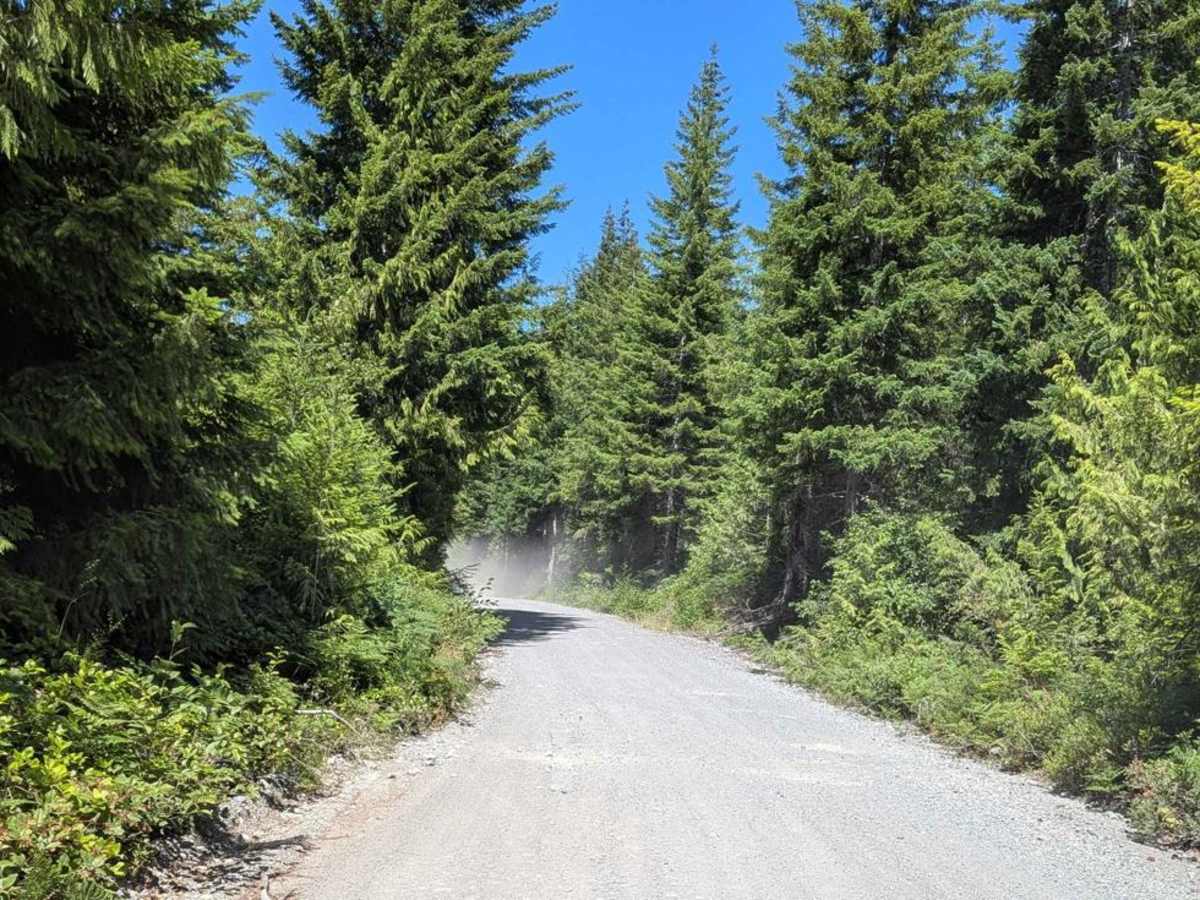 Rona Cutoff Road photo 2