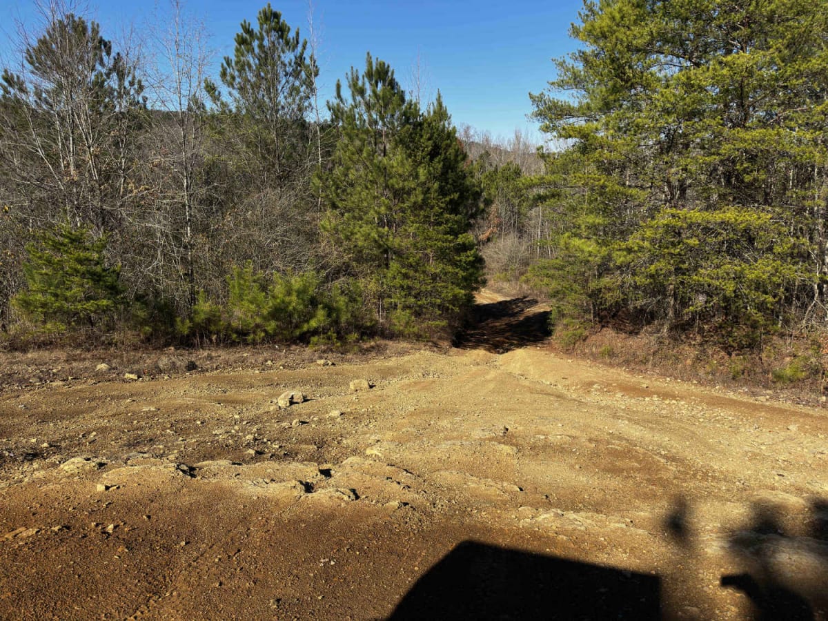 Main Road North photo 5