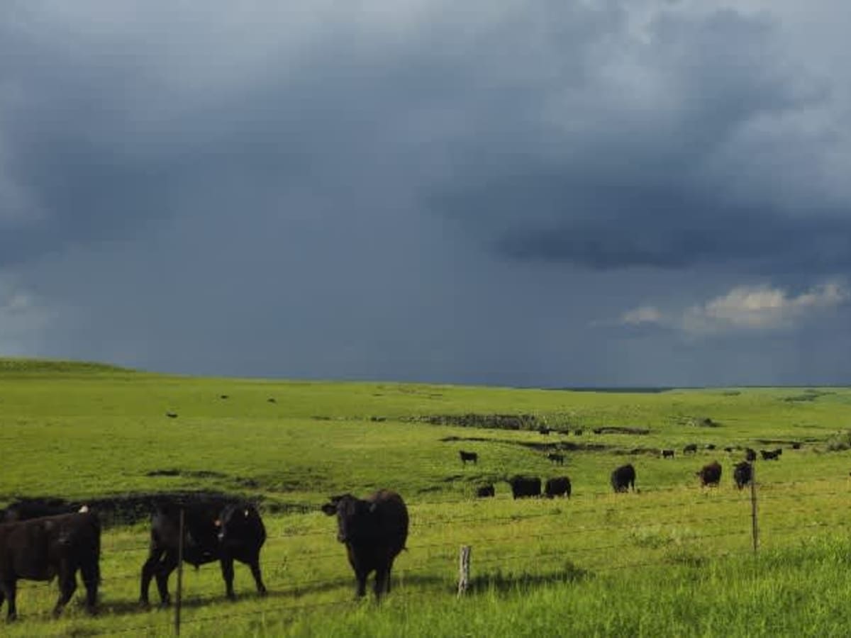 Prairie View photo 3