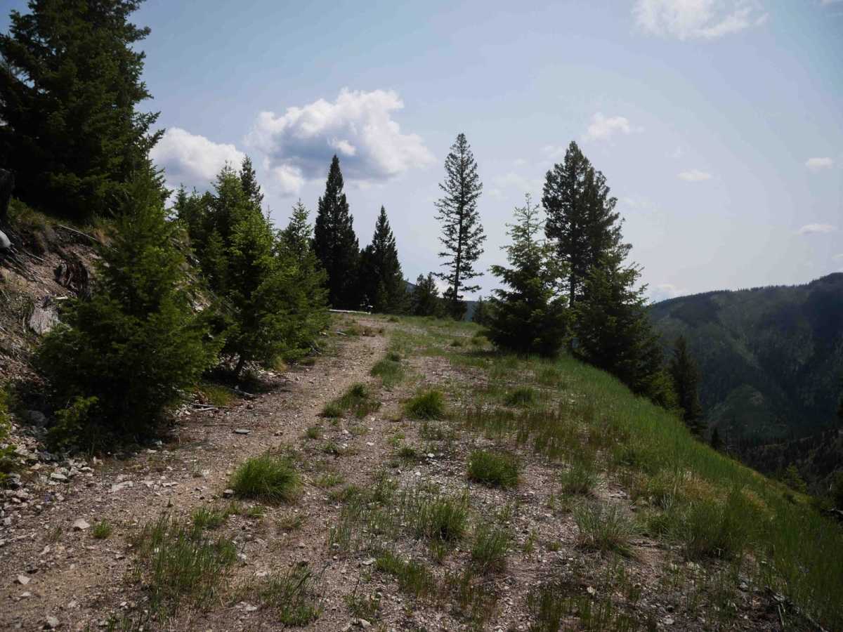 5702 photo 2