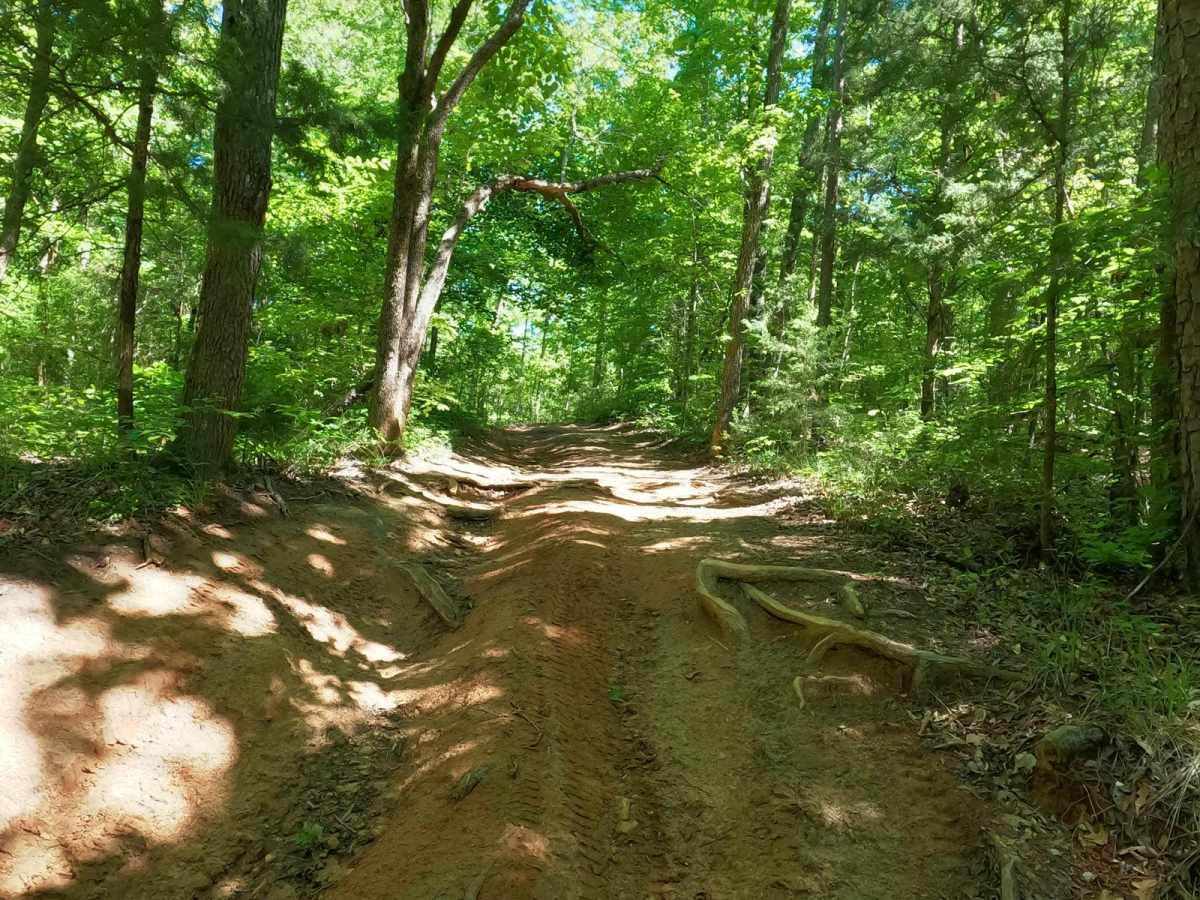 Clemson Trail photo 4