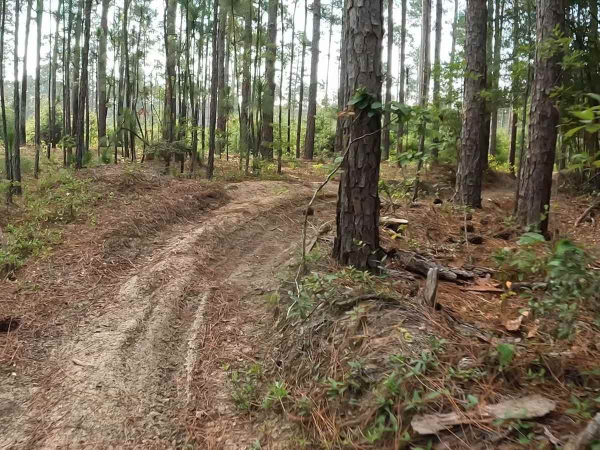 Outerloop trail photo