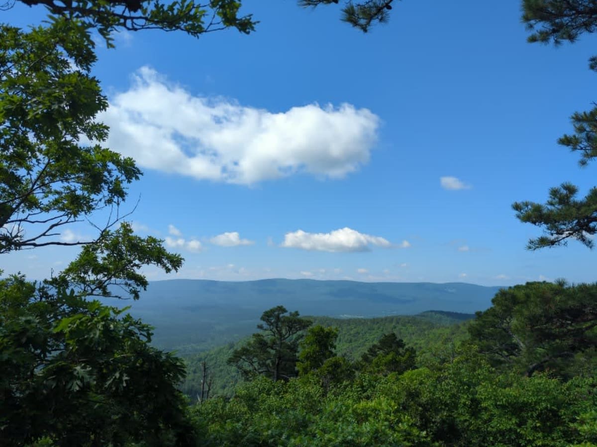 Blue Mountain 6009 - Blue Mountain Tower 7354 photo 2