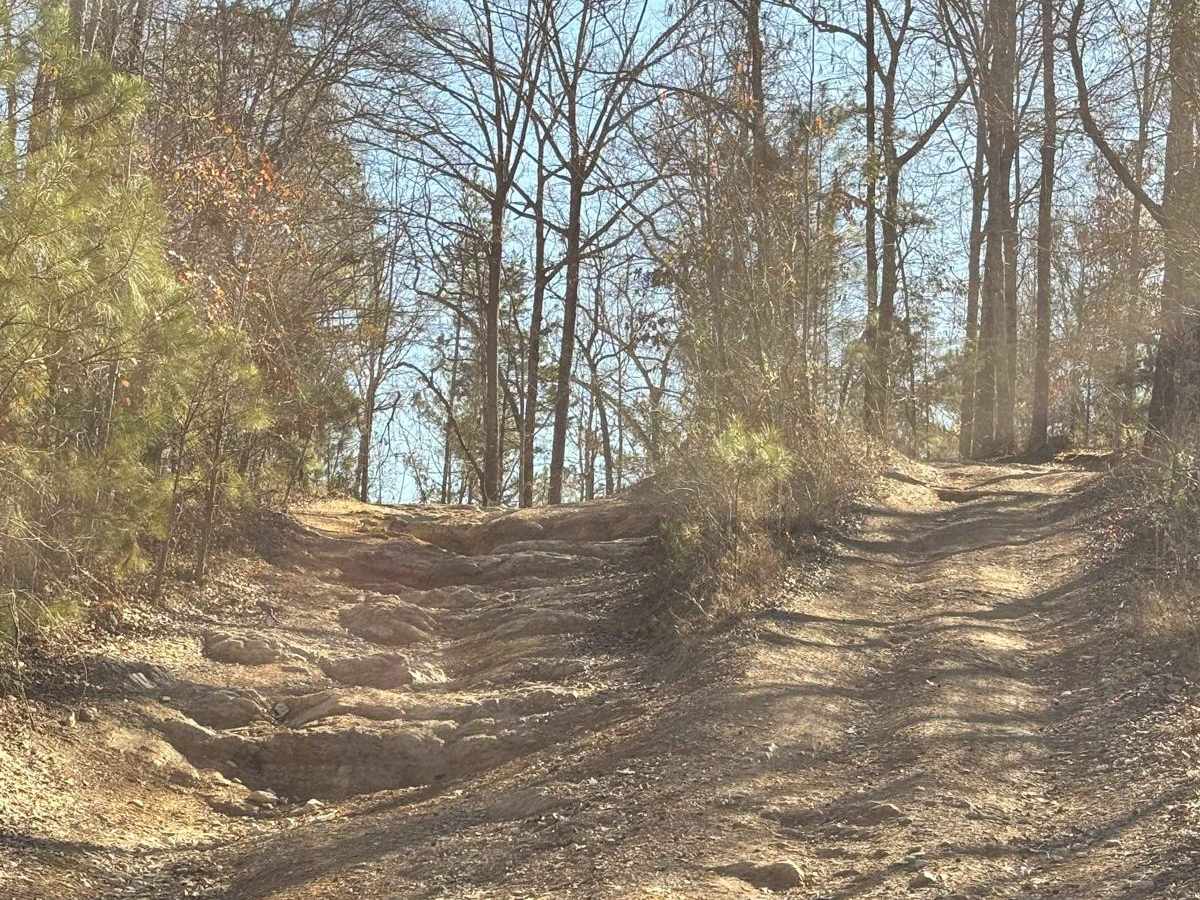 Creek Trail trail photo