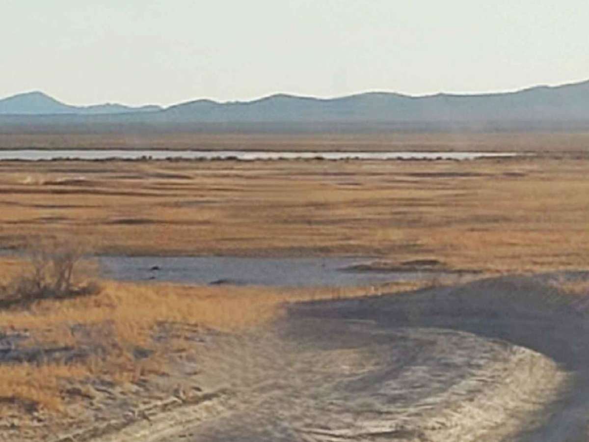 Fish Lake Playa photo 2