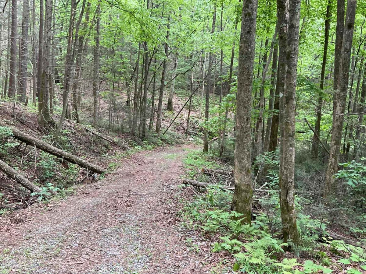 Blue Mountain Spring - FS 639 photo 3