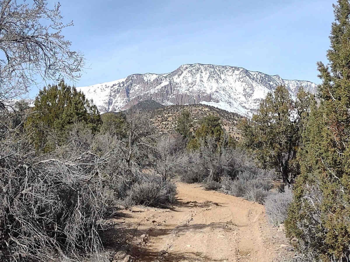 Leeds Cr-Cottonwood North Spur #30903 photo 5