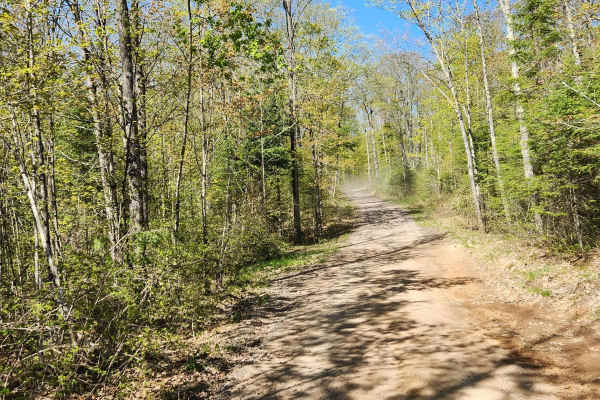Trail 8