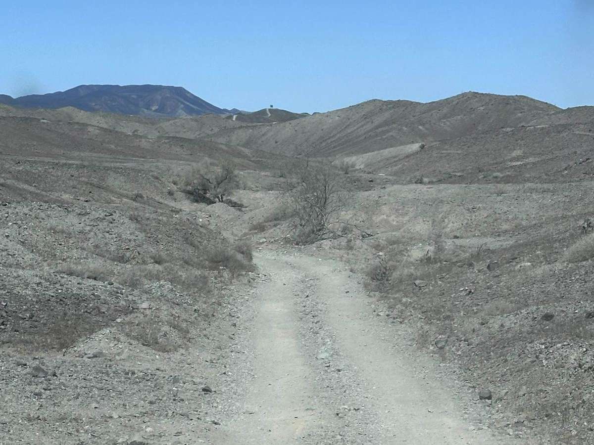 Ryan's Trail photo 2