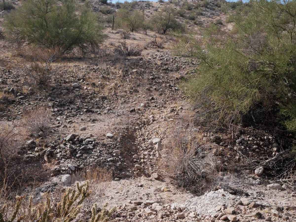 BH1105 trail photo